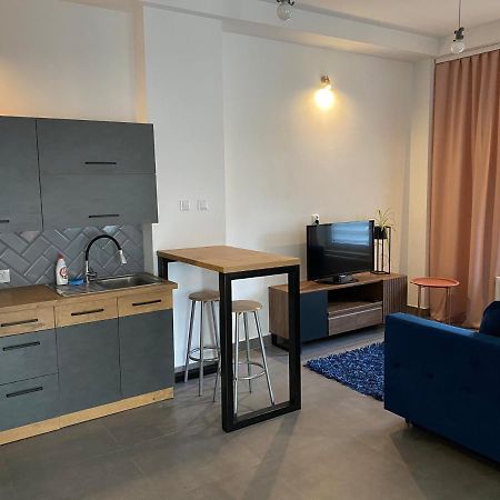 Apartamenty Pod Wierzbami Dwikozy Exterior photo